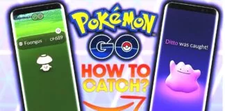 Catch Ditto in Pokemon Go