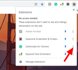 All you need to know about Google Extensions!