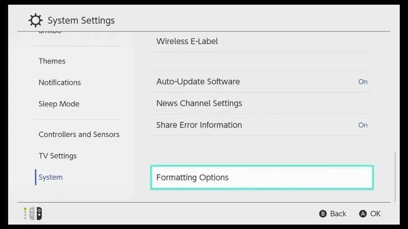 Select Formatting option on Nintendo switch