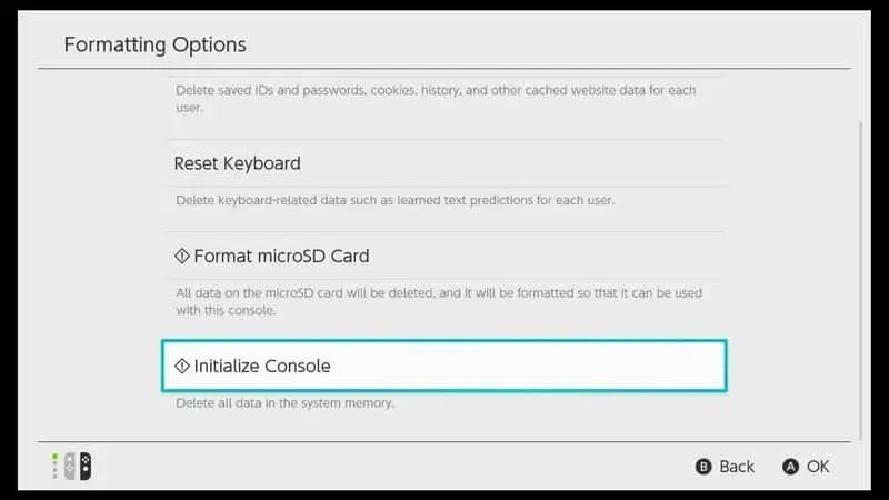 select Initialize Console : Nintendo Switch 