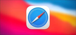 Use Download Manager in Safari to simplify your download tasks
