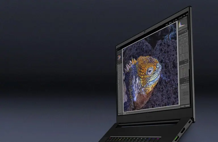 camera of Razer Blade 17 