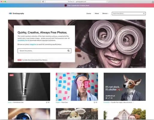 Best free stock photo sites in 2022!