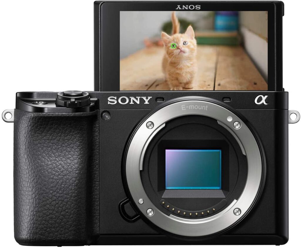Sony A6100: Best Mirrorless Camera Capture a Realistic World!