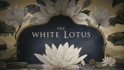 The White Lotus shows and movies on HBO Max