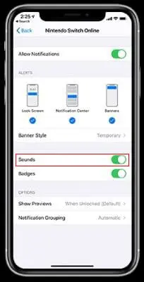 Turn off Sound for messages- hide messages on iPhone