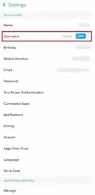 Change Snap Username 