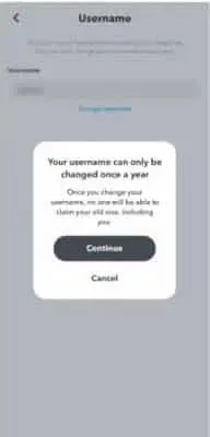 Change Snap Username