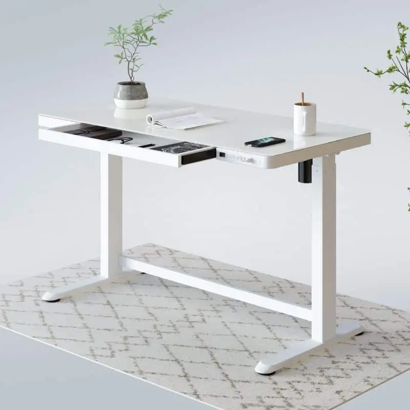 Flexispot EG8: DesignFlexispot Standing desk