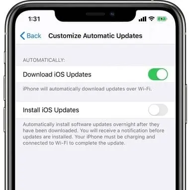 Disable automatic downloads and updates  -   iOS 15 battery life tips