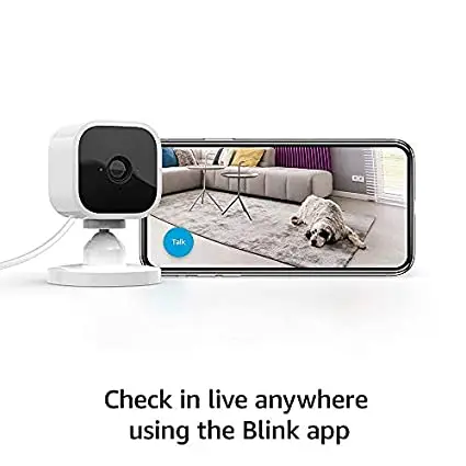 Blink Mini vs. Blink Indoor: Which one should choose!