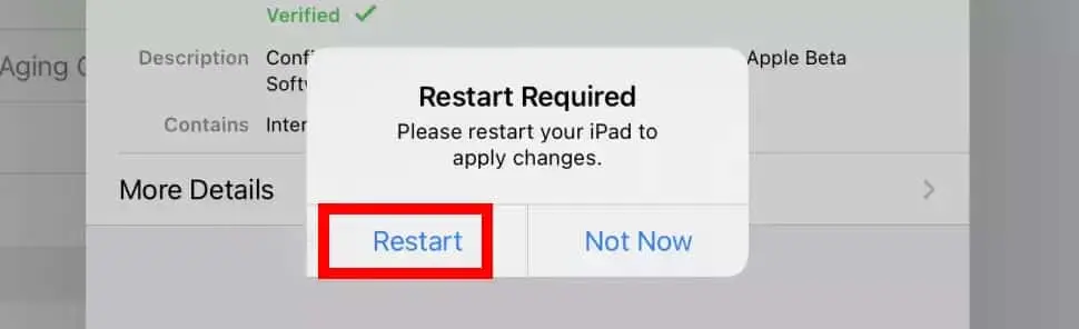 Restart by pressing the button (or tap Not Now, close your work and then restart your iPad). iPadOS 16 public betas