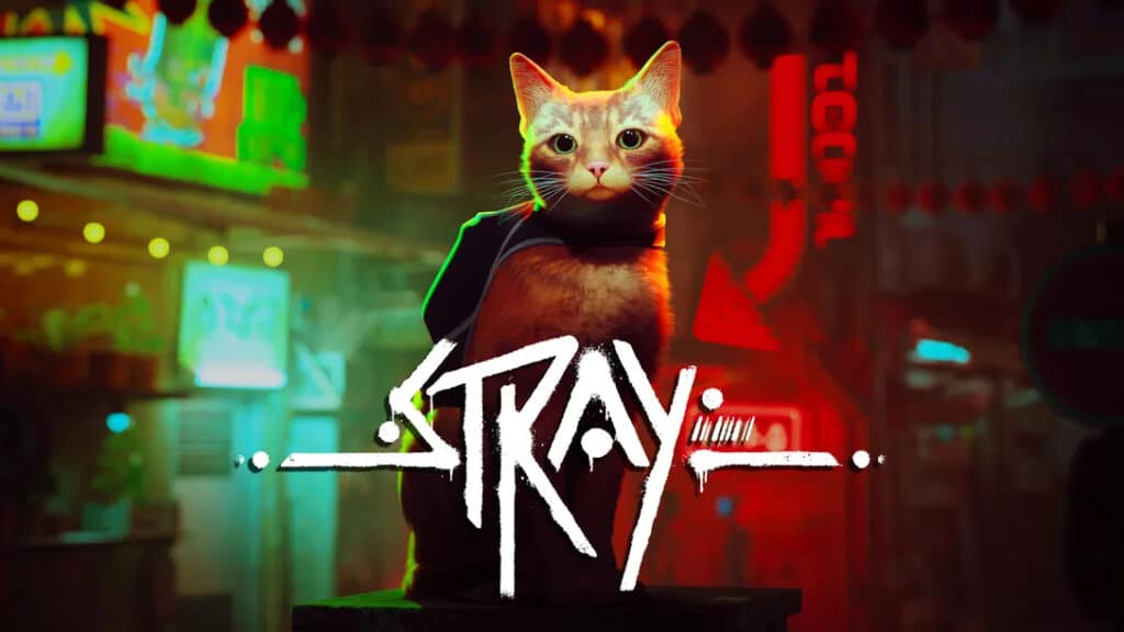 Stray the story of cat