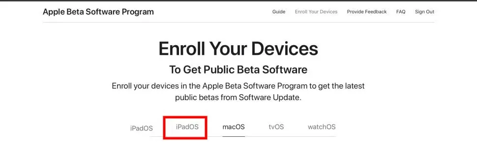 To access the beta profile download page, tap iPadOS.