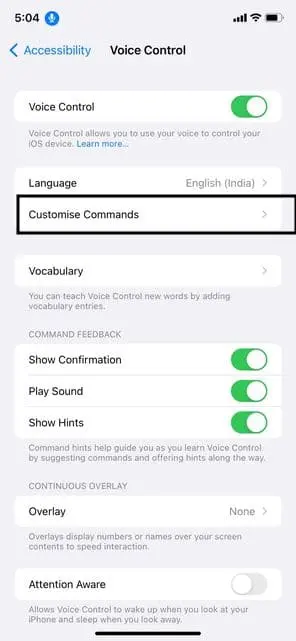Customize commands- navigate your iPhone with voice control