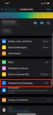 Disappearing Messages