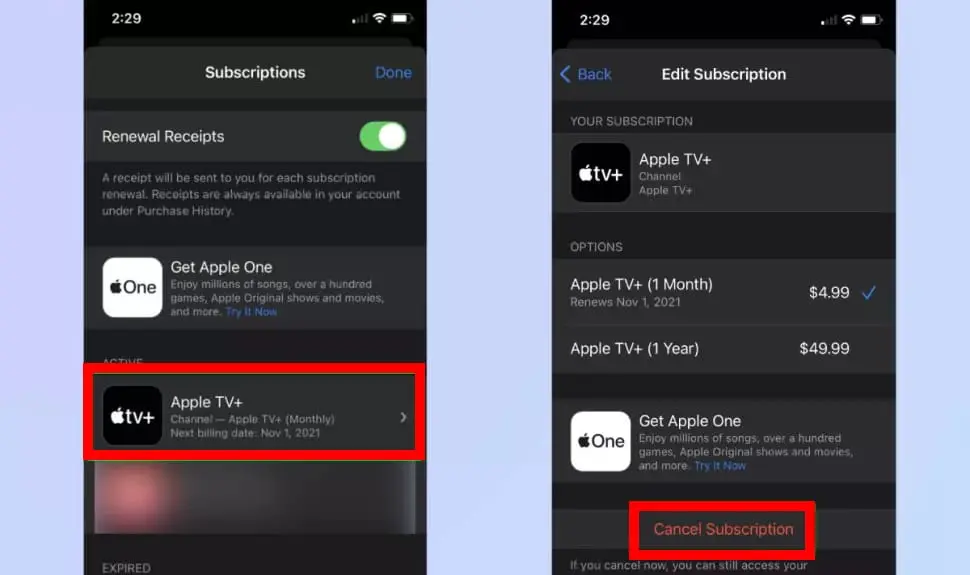 Cancel SUbscription: Cancel Apple Tv+ Subscription