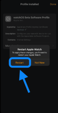 How To Download The second public beta of watchOS 9 to your apple watch?