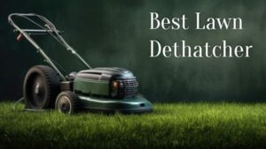 Best Lawn Dethatcher