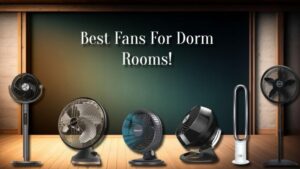 Best Fans For Dorm Rooms