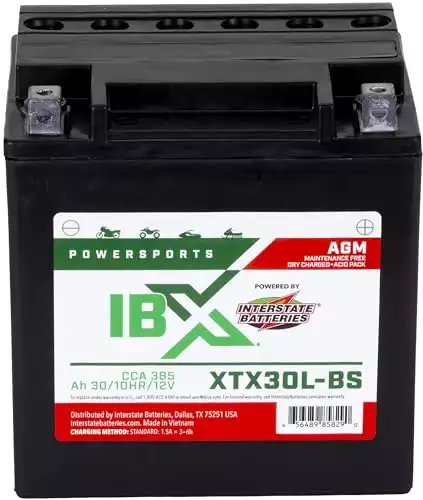 Interstate Batteries YTX30L-BS