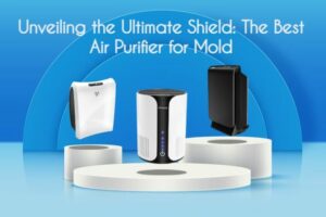 best air purifier mold
