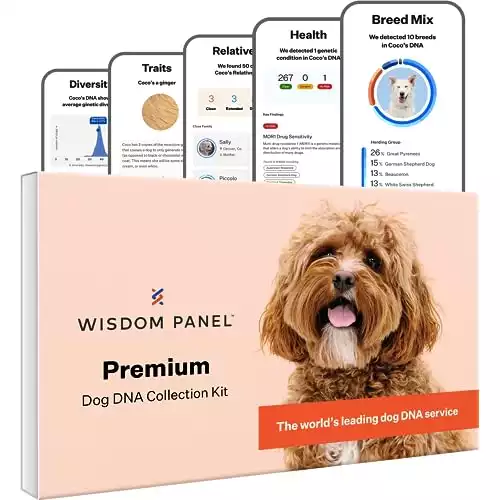 Wisdom Panel Premium Dog DNA Kit