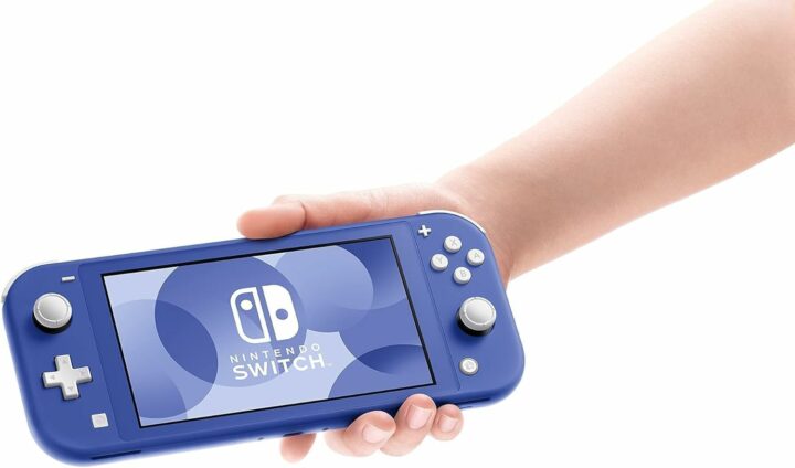  Nintendo Switch Lite Screen